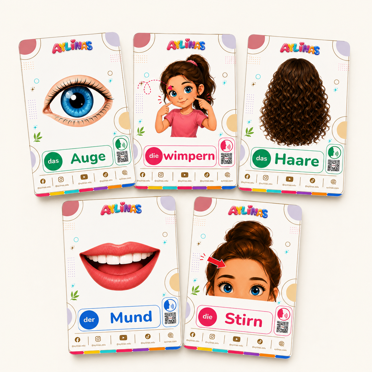 Mein Körper — My Body German Flashcards for Kids | 41-Card German Vocabulary Set