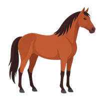 das Pferd
