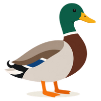 die Ente