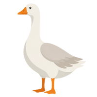 die Gans
