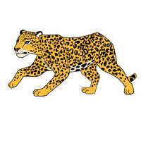 der Gepard