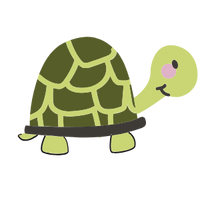 die Schildkröte