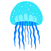 die Qualle