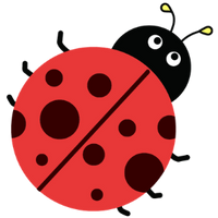 der Marienkäfer