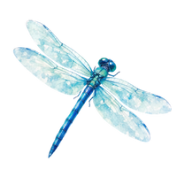 die Libelle