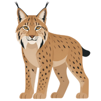 der Luchs