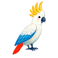 der Kakadu