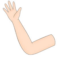 der Arm
