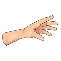 die Hand