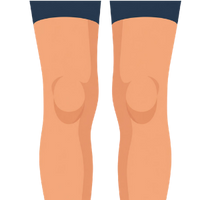die Knie
