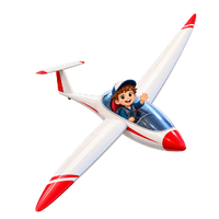 das Segelflugzeug
