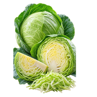 der Kohl