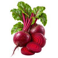 die Rote Bete