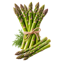 der Spargel