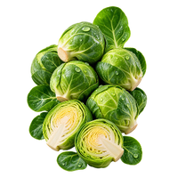 der Rosenkohl