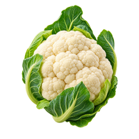 der Blumenkohl