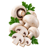 der Pilz